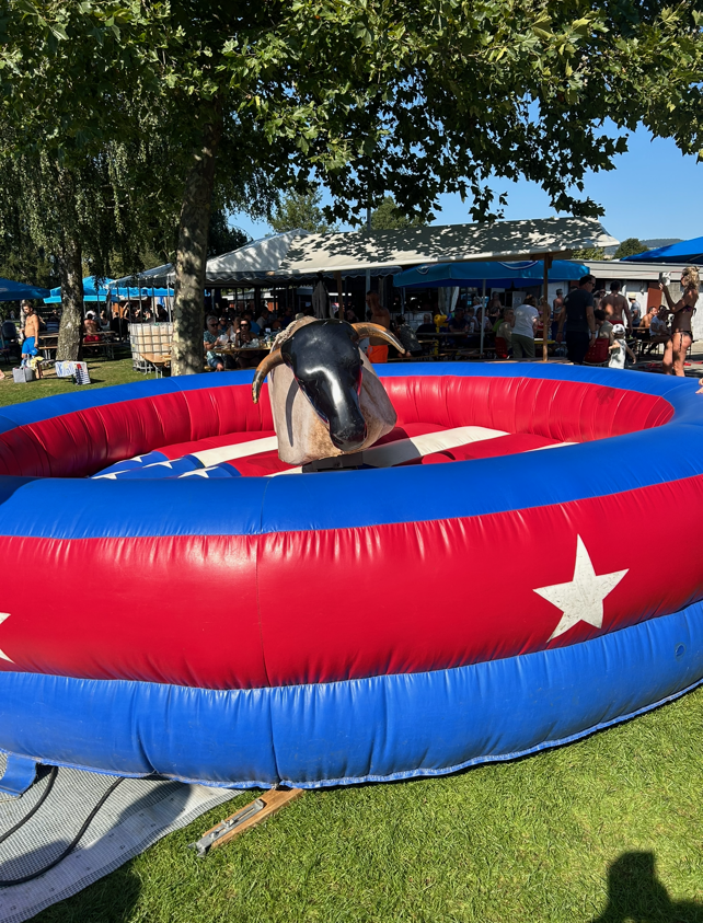 Rodeo-Bulle